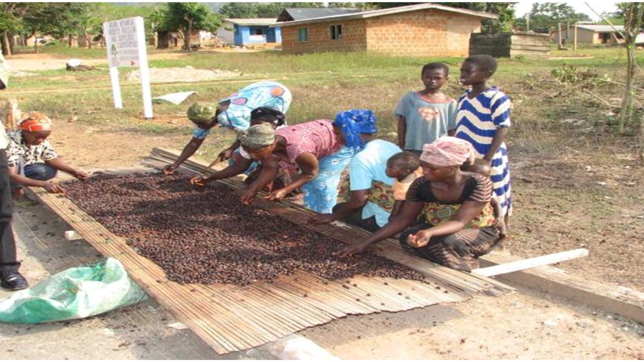 Agriculture support training